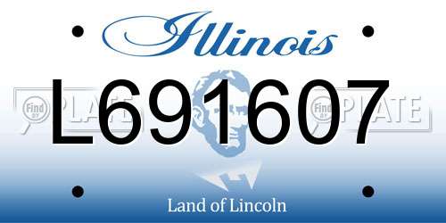 L691607 Illinois License Plate