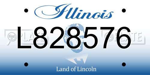 L828576 Illinois License Plate