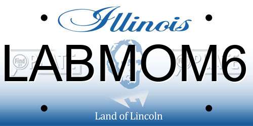LABMOM6 Illinois License Plate