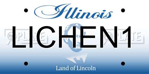 LICHEN1 Illinois License Plate