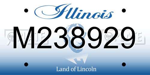M238929 Illinois License Plate