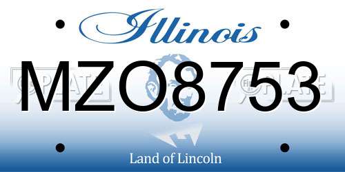 MZO8753 Illinois License Plate