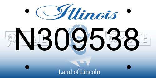 N309538 Illinois License Plate