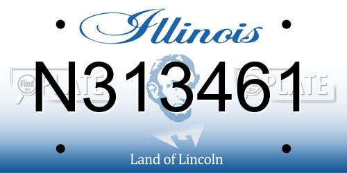 N313461 Illinois License Plate