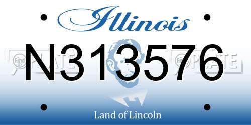 N313576 Illinois License Plate