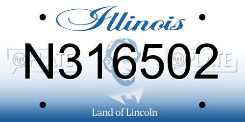 N316502 Illinois License Plate