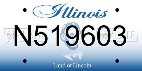 N519603 Illinois License Plate
