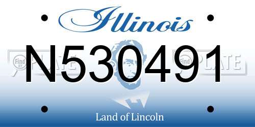 N530491 Illinois License Plate