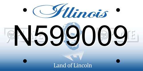 N599009 Illinois License Plate