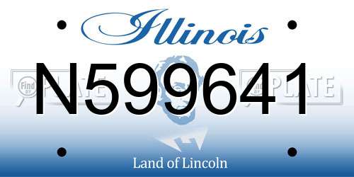 N599641 Illinois License Plate