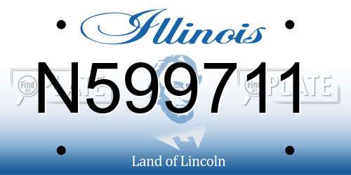 N599711 Illinois License Plate