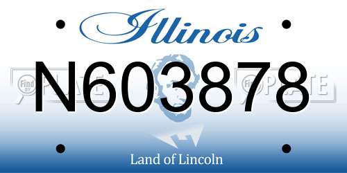 N603878 Illinois License Plate