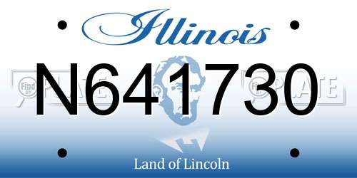 N641730 Illinois License Plate