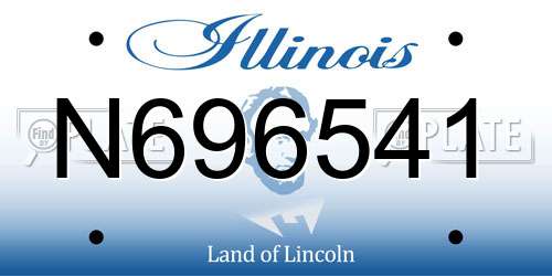 N696541 Illinois License Plate