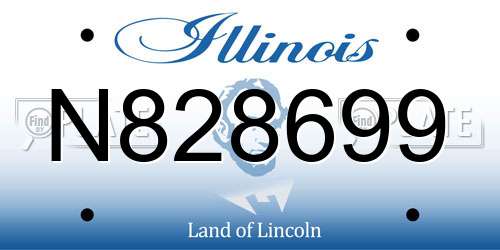 N828699 Illinois License Plate