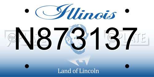 N873137 Illinois License Plate