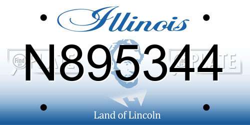 N895344 Illinois License Plate