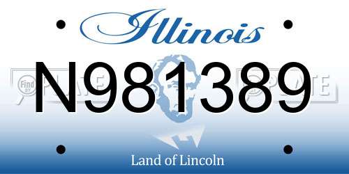 N981389 Illinois License Plate