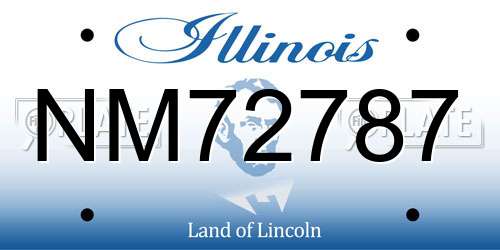 NM72787 Illinois License Plate