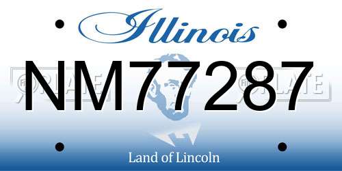 NM77287 Illinois License Plate