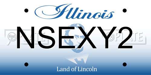 NSEXY2 Illinois License Plate