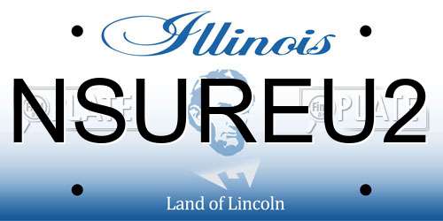 NSUREU2 Illinois License Plate