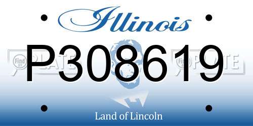 P308619 Illinois License Plate