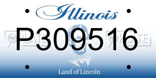 P309516 Illinois License Plate