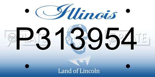 P313954 Illinois License Plate