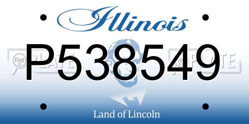 P538549 Illinois License Plate