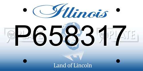 P658317 Illinois License Plate