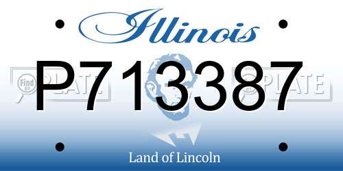 P713387 Illinois License Plate