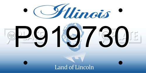 P919730 Illinois License Plate