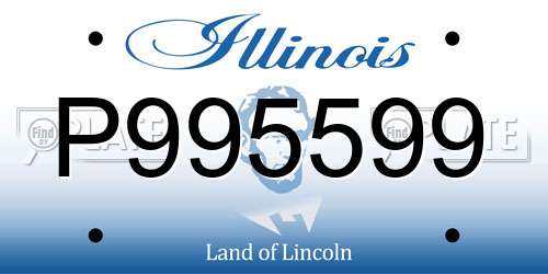 P995599 Illinois License Plate