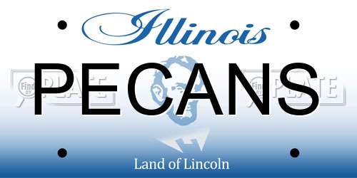 PECANS Illinois License Plate