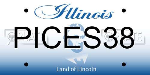 PICES38 Illinois License Plate
