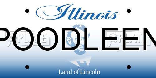 POODLEEN Illinois License Plate