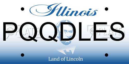 PQQDLES Illinois License Plate