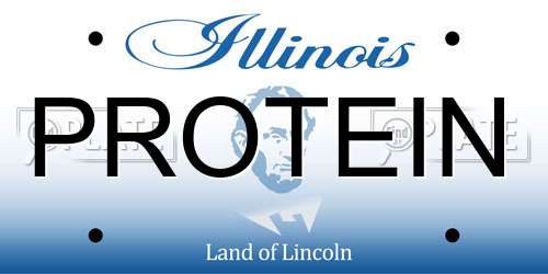 PROTEIN Illinois License Plate