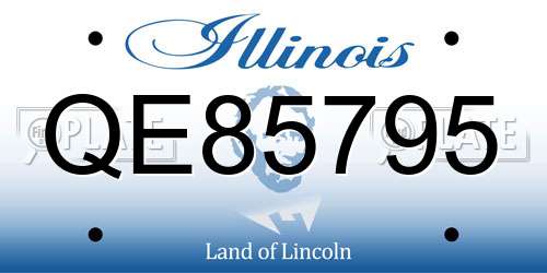 QE85795 Illinois License Plate