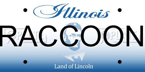 RACCOON Illinois License Plate