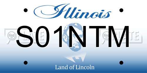 S01NTM Illinois License Plate