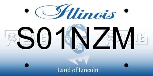 S01NZM Illinois License Plate
