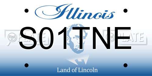 S01TNE Illinois License Plate