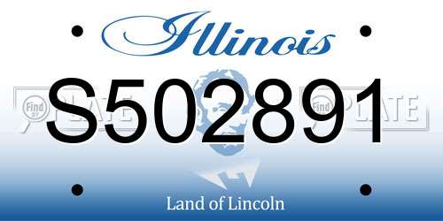 S502891 Illinois License Plate