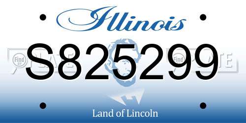 S825299 Illinois License Plate