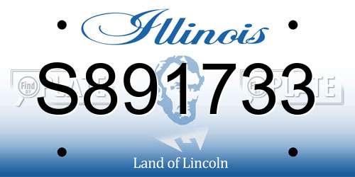 S891733 Illinois License Plate