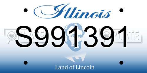 S991391 Illinois License Plate