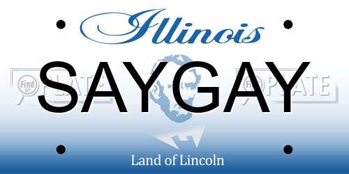 SAYGAY Illinois License Plate