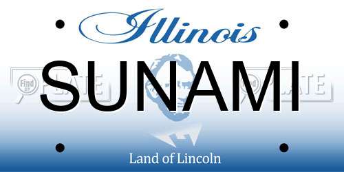 SUNAMI Illinois License Plate